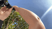 Fun Love GIF