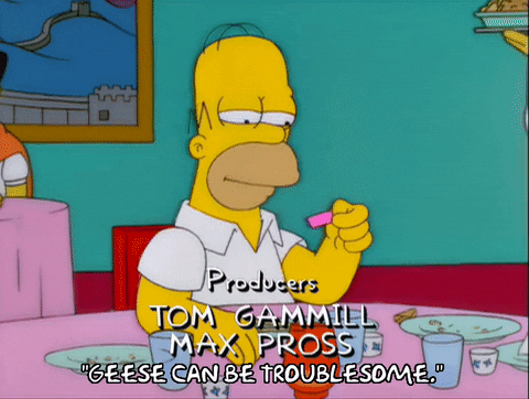 homer simpson GIF