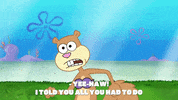 season 9 squid defense GIF by SpongeBob SquarePants