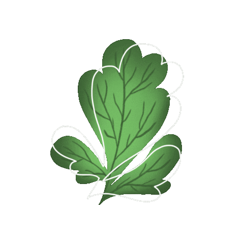 assenavGIF giphyupload assenav zoldseg spenót Sticker