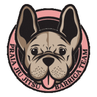Praiabjj bjj praia barriga checkmat Sticker
