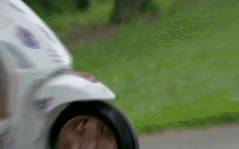Zincera giphygifmaker GIF