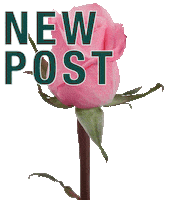 Pink Rose New Post Sticker by Barbarella