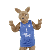 social-media-easycredit basketball peace easycredit ellihoop Sticker