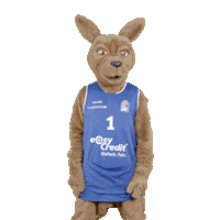 social-media-easycredit basketball swipeup easycredit ellihoop Sticker