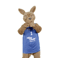 social-media-easycredit basketball herz easycredit ellihoop Sticker