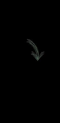 VanderPlassprouts giphyupload green arrow groen GIF