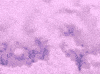 Pastel Gif Art GIF