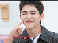 Choi Seungcheol Smiling GIF