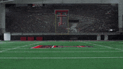 Red Raiders Nelson Mbanasor GIF by Texas Tech Football