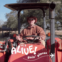 brad it's alive GIF by Bon Appetit Magazine