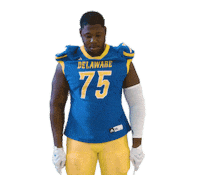 delaware football Sticker by Delaware Blue Hens