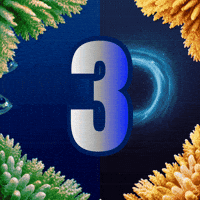 Counting Down Marine Life GIF