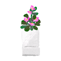 Plant Life Plants Sticker by adobetrisha