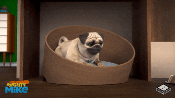 happy pug GIF by Boomerang Official