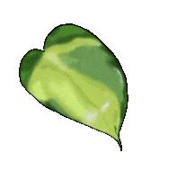 Chelcieelise happy green earth plant Sticker