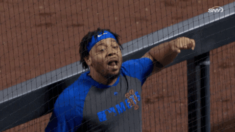 Excited Mlb GIF by SNY