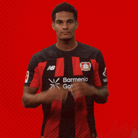 I Love You Heart GIF by Bayer 04 Leverkusen