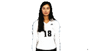 Volleyball Vb Sticker by Providence Friars