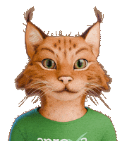 Lince Sticker by Aprova Concursos