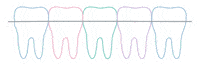 EthosOrthodontics ethos ethosorthodontics ethosorthodonticsaustralia Sticker