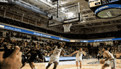 Basketball Video GIF by Towson University