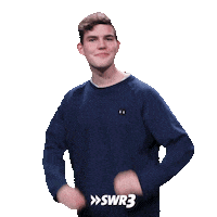Loving I Love You Sticker by SWR3