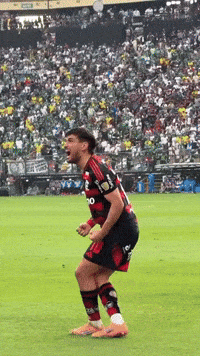 Libertadores Arrascaeta GIF