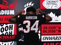 Football GIF by Cincinnati Bearcats