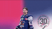 Labrie GIF by Iserlohn Roosters