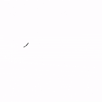Calligraphy Script GIF