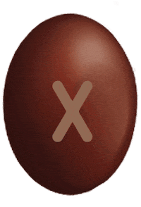 Chocolate X Sticker by conguitos