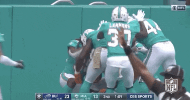 Regular Season Football GIF by NFL