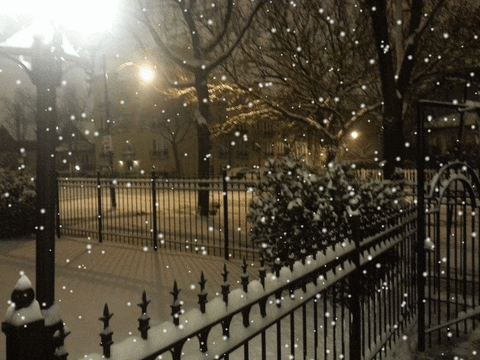 Photo gif. Animated snow falls over a scene of a snow-covered iron fence and trees in a neighborhood with streetlights.