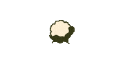 Cauliflower Bloemkool Sticker by Gruntenveggieoats