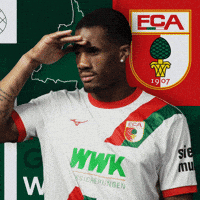 The Wolf Football GIF by FC Augsburg 1907