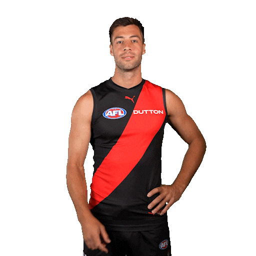 Football Sport Sticker by Essendon FC