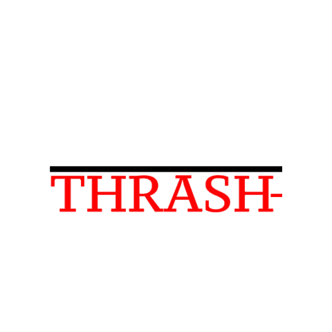Thrash_N_Raid  Sticker