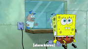 season 9 episode 13 GIF by SpongeBob SquarePants