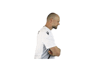 Soccer Bundesliga Sticker by Karlsruher SC