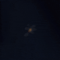 Tierra Prometida GIF by ccaguaviva