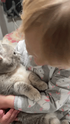 cuteanimalland giphyupload GIF