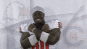 Carson Newman Football GIF by Carson-Newman Athletics