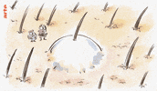 marion montaigne animation GIF by ARTEfr