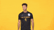 Sport Hello GIF by Cal State LA Golden Eagles