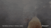 GIF by The Bridge Australia