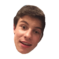 shawn mendes STICKER by imoji
