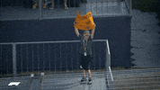 Happy Fernando Alonso GIF by Formula 1
