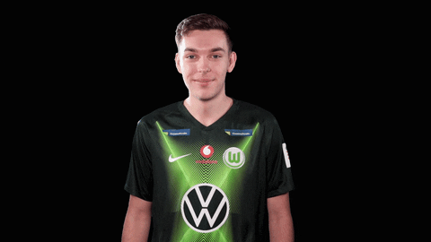 E Sports Sport GIF by VfL Wolfsburg