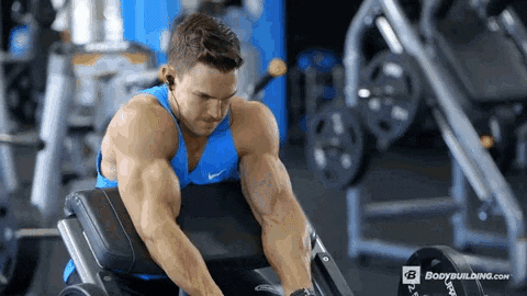 BamBamDoubleBB giphyupload ez bar preacher curl GIF